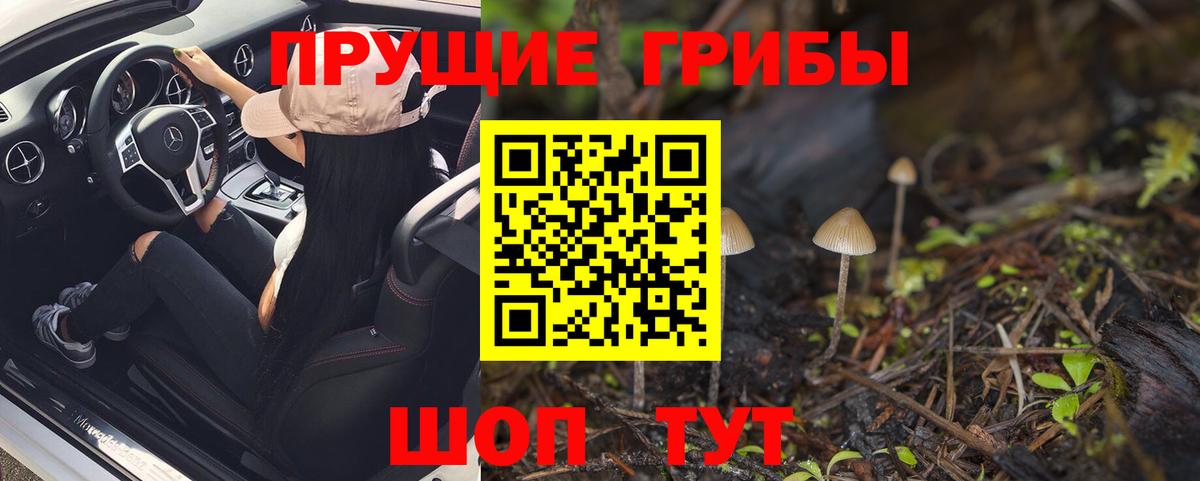 Галлюциногенные грибы мицелий  Галлюциногенные грибы прущие грибы  Вход с VPN  Богданович 